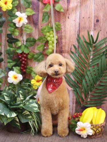 20230824めるちゃん